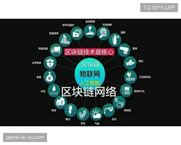 体育数字资产国际交易规则逐步统一，促进跨境流通